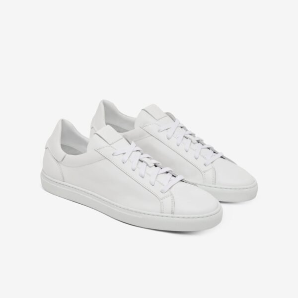 The Reign - Blanco - Image 4